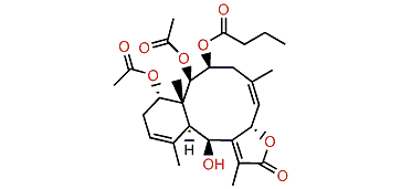 Excavatoid E